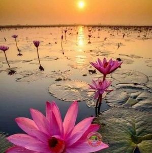 Meet your Posher, Vineeta